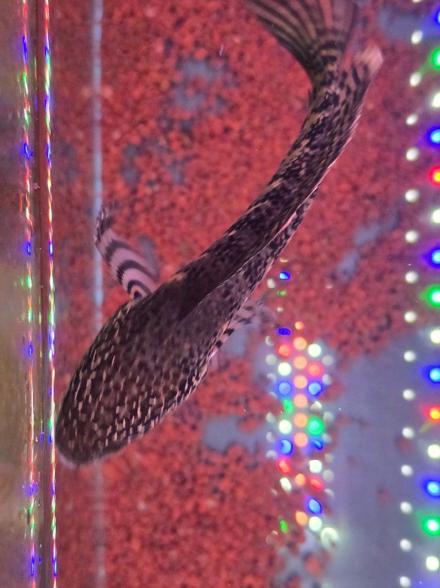 20250904_165753.jpg