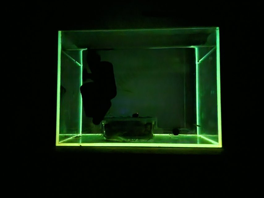 20250906_052702.jpg