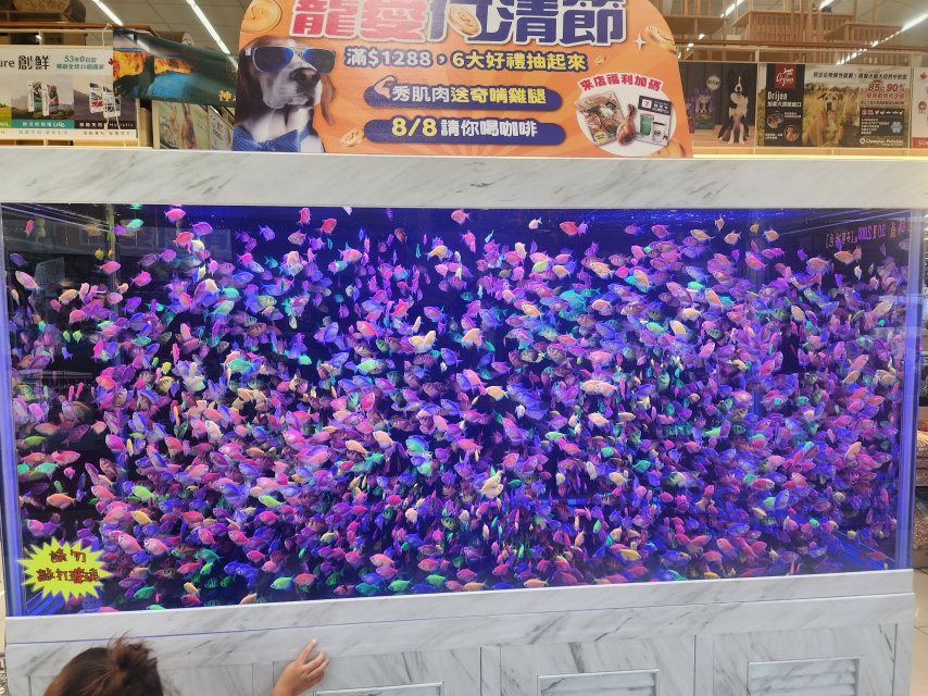 20250815_171527.jpg