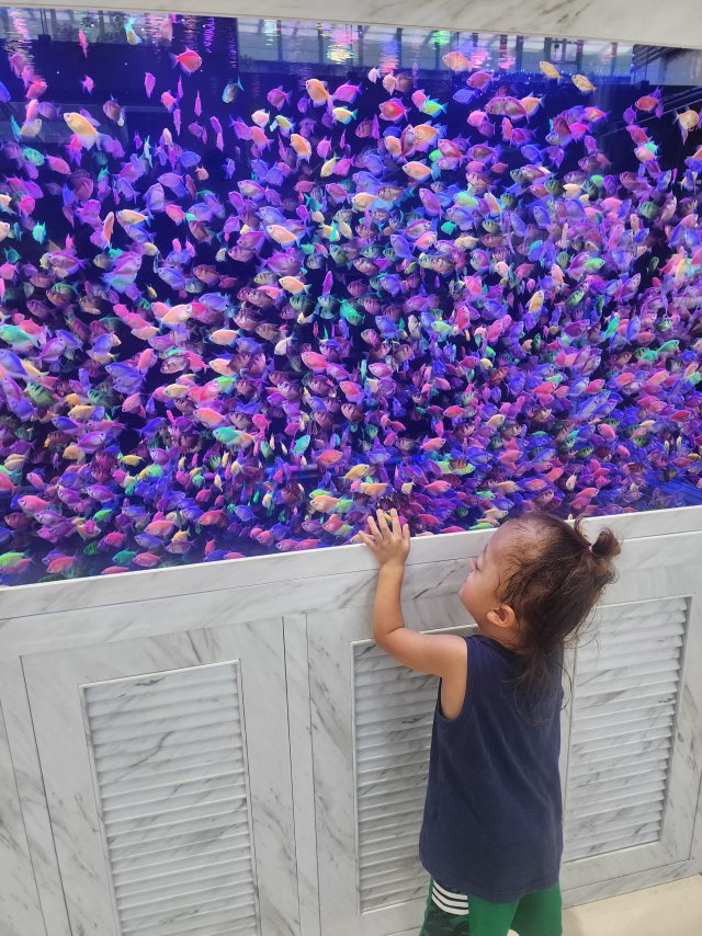 20250815_171518.jpg
