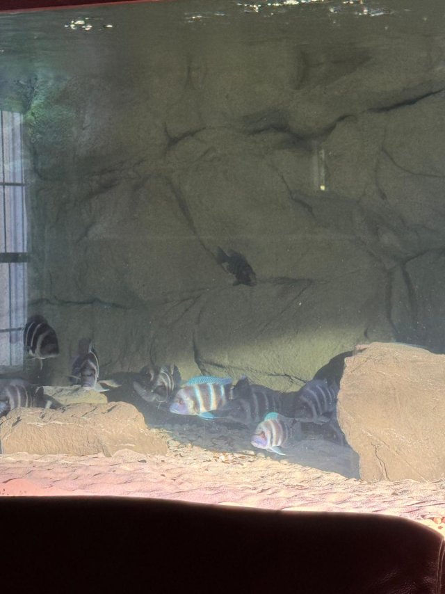 750gal 2025-09-21 9  (3).jpeg