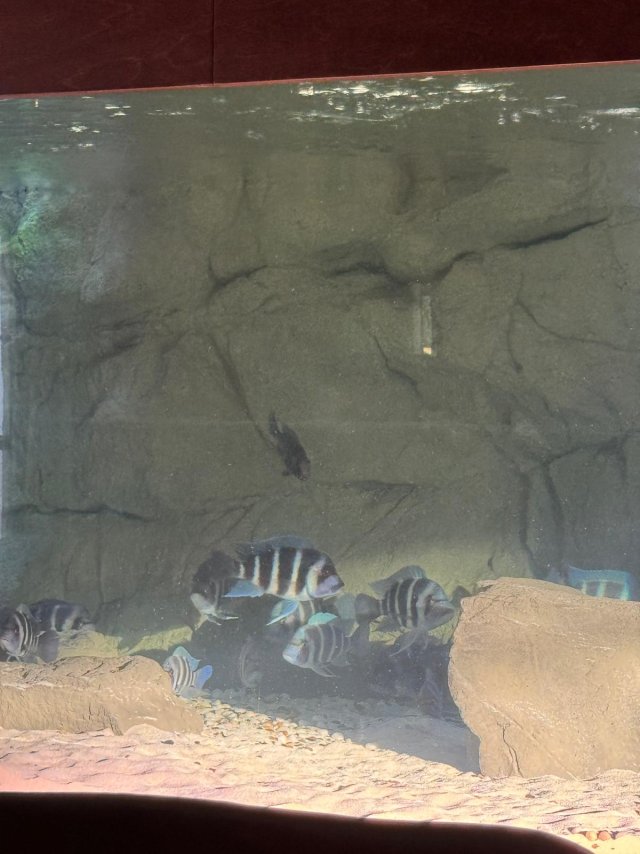 750gal 2025-09-21 9 (1).jpeg