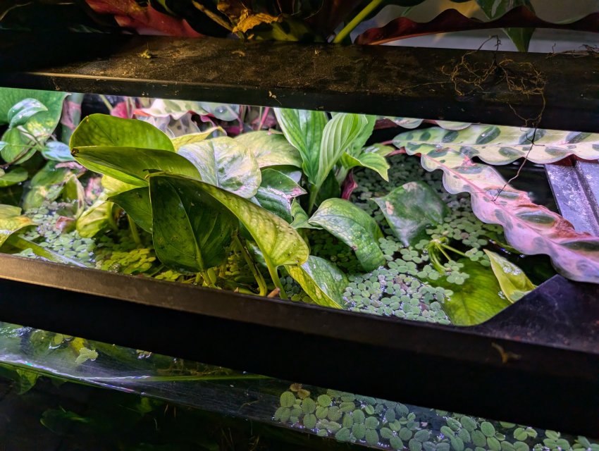 1000005778.jpg 1000005778.jpg