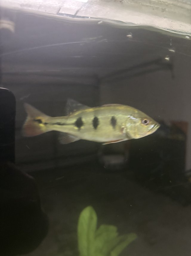IMG_3379.jpeg