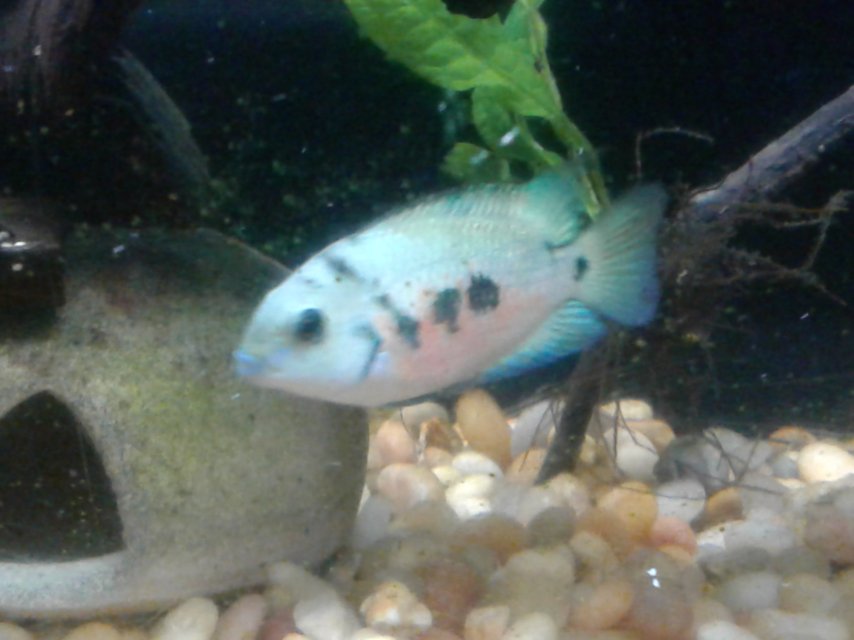 20180719_165412.jpg