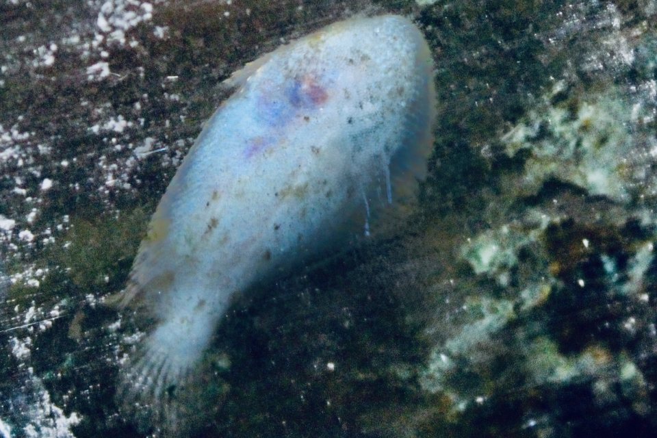 IMG_7309.jpeg