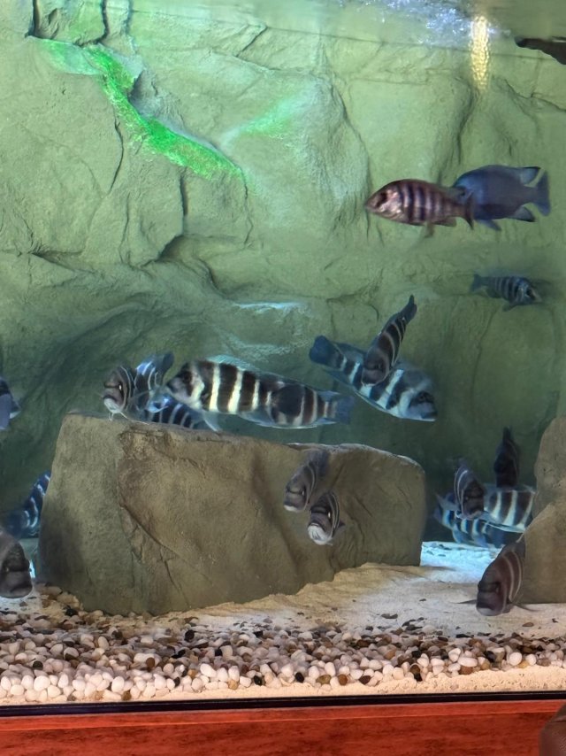 2025-10-01 at 11.09.38_4a3f0082.jpg