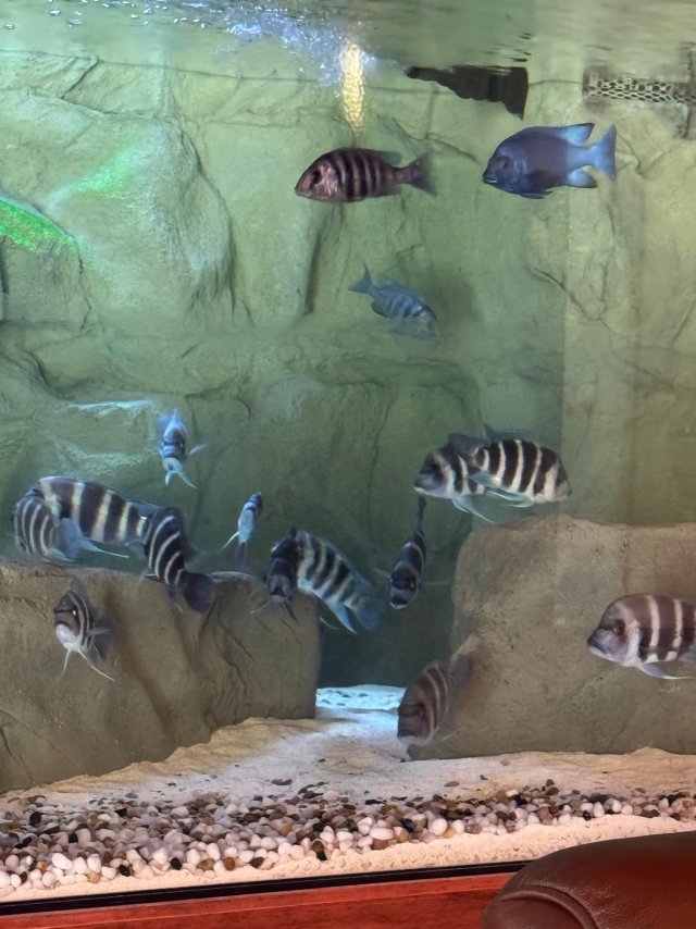 2025-10-01 at 11.09.38_6f4016a2.jpg