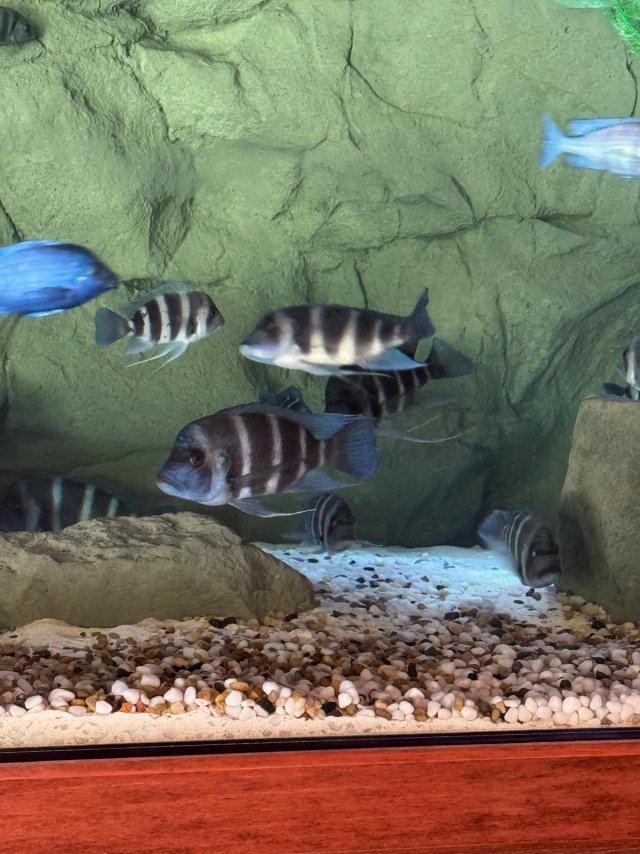 2025-10-01 at 11.09.38_7a1b73b6.jpg