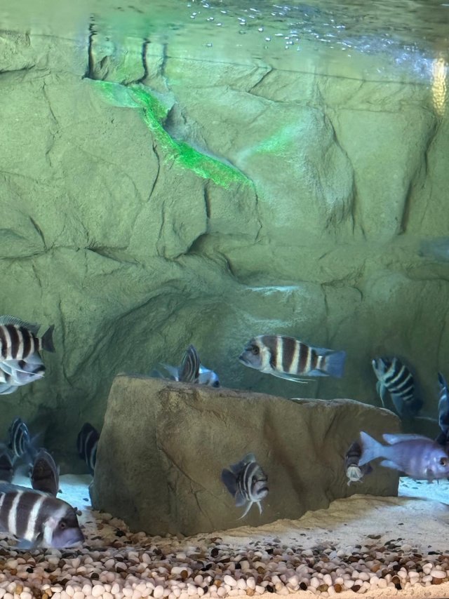 2025-10-01 at 11.09.38_67e59c3a.jpg