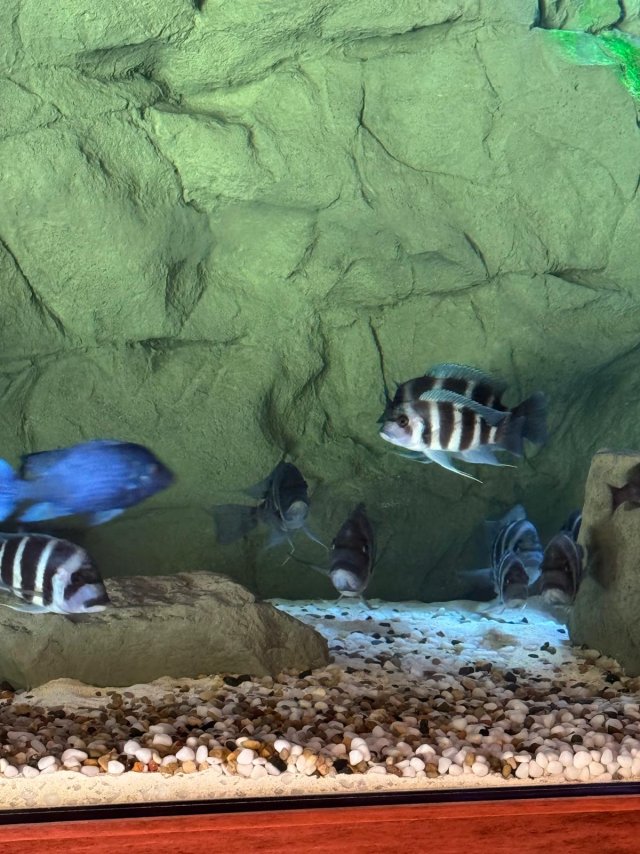 2025-10-01 at 11.09.38_78f0ec7b.jpg