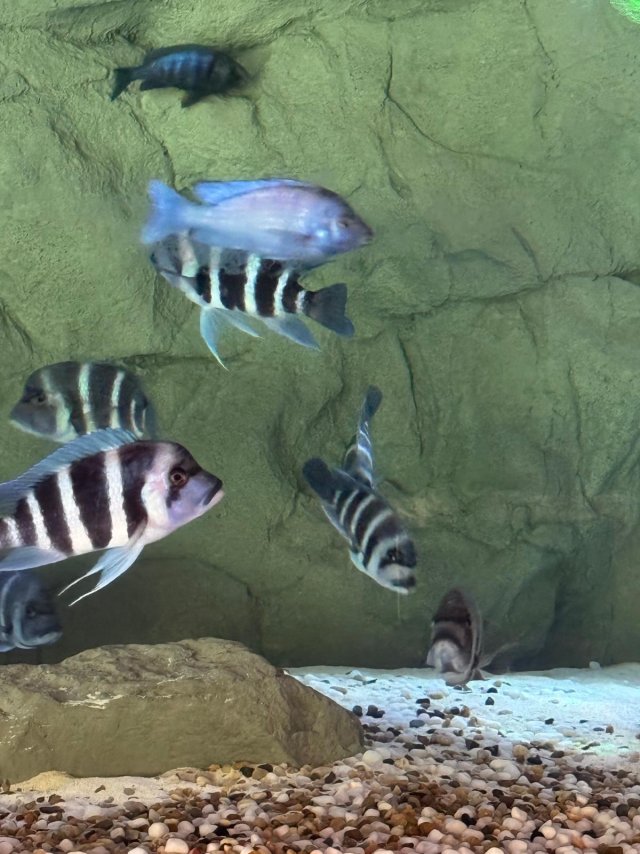 2025-10-01 at 11.09.38_94b8281a.jpg