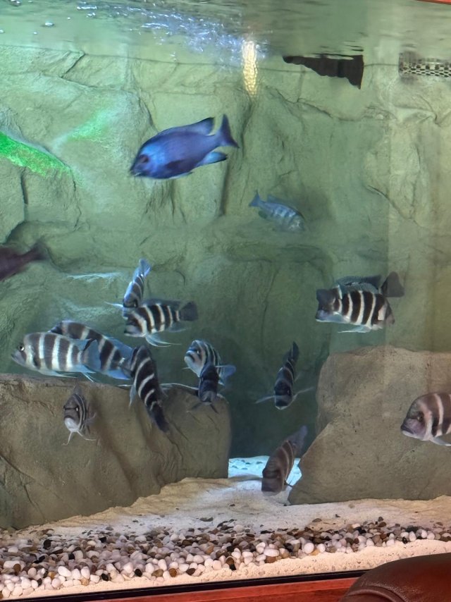 2025-10-01 at 11.09.38_11720ad5.jpg