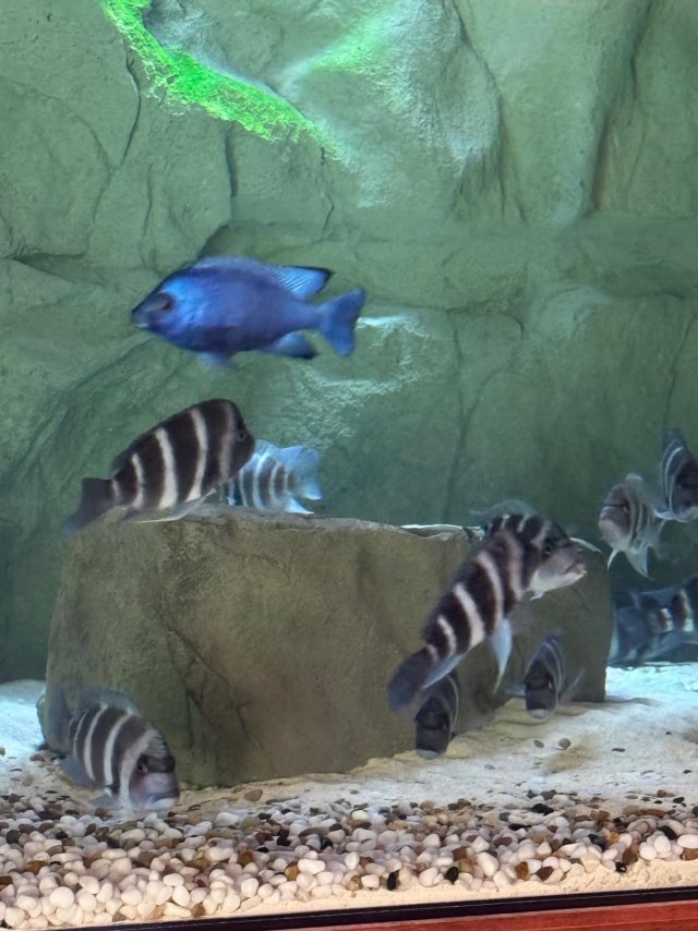 2025-10-01 at 11.09.38_499907fa.jpg