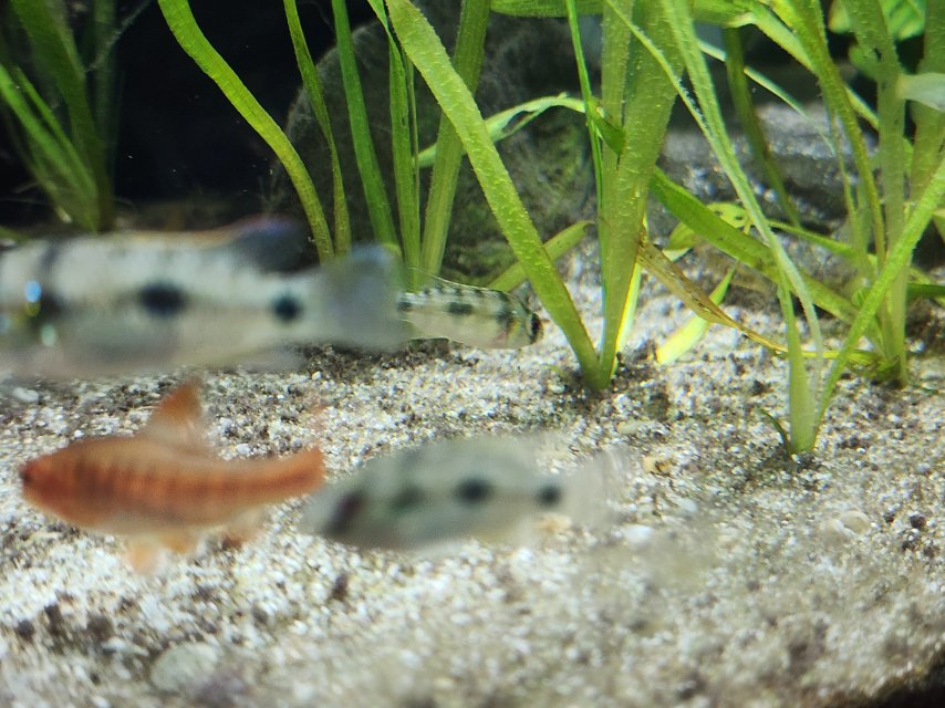 20251001_221439.jpg