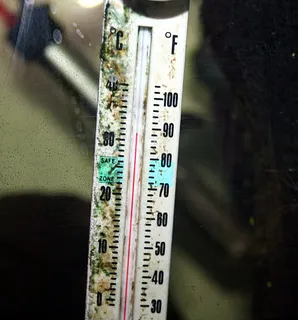 1759508041904.png 1759508041904.png