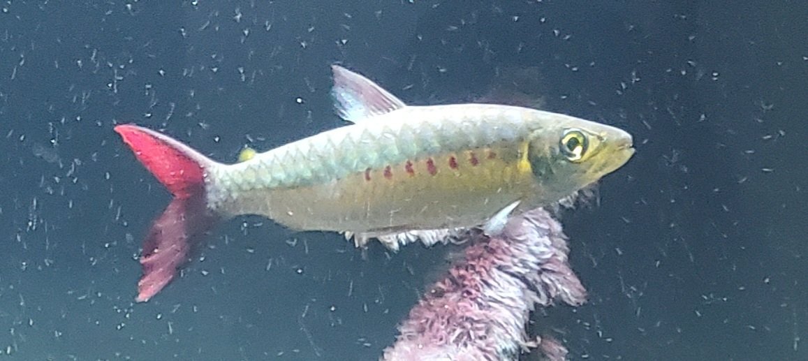 20210321_194702.jpg