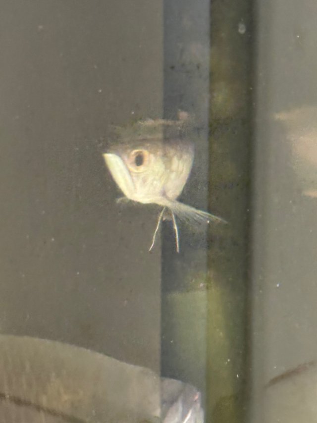 IMG_7793.jpeg