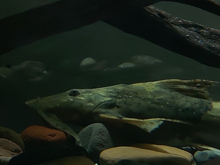 20251021_181515.jpg