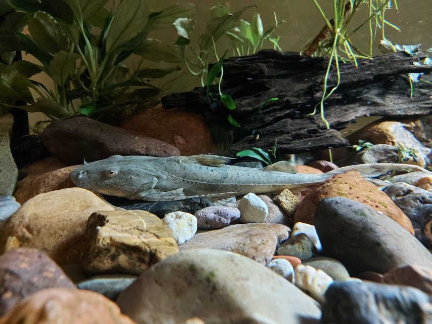 20251021_210158.jpg