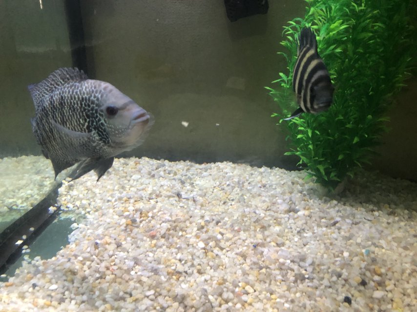 IMG_0899.jpeg IMG_0899.jpeg