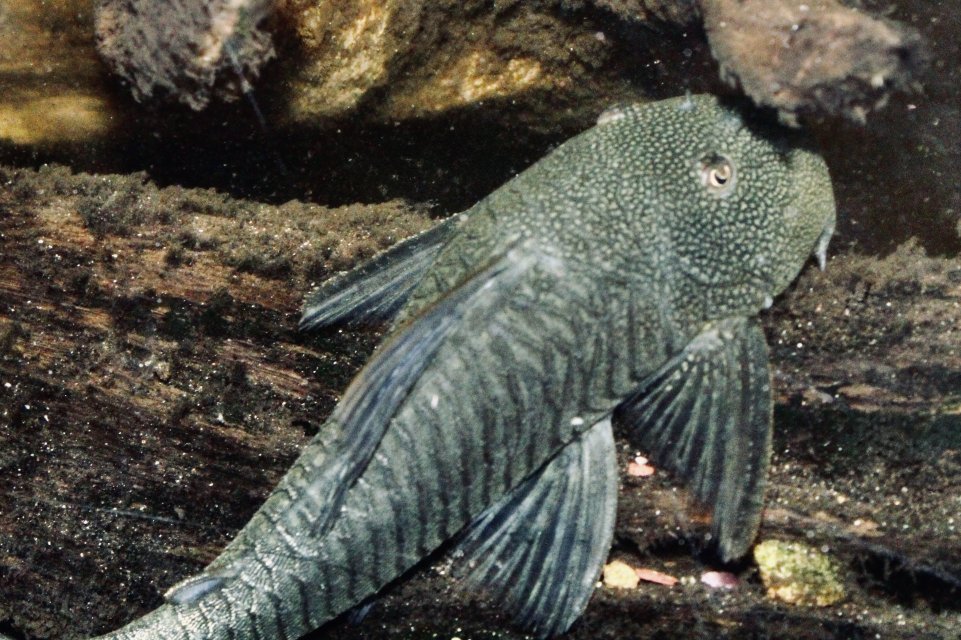 IMG_8330.jpeg IMG_8330.jpeg