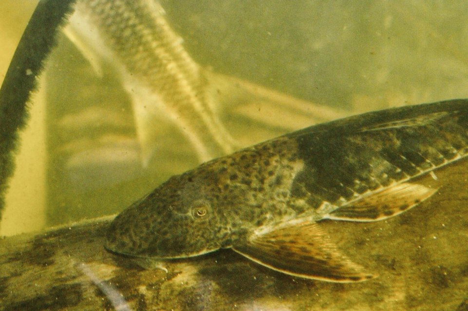 IMG_8280.jpeg IMG_8280.jpeg