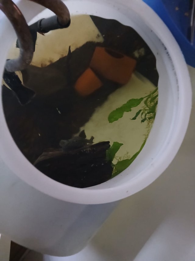 WhatsApp Image 2025-10-23 at 22.05.10.jpeg