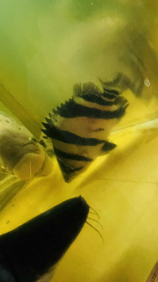 IMG_6206.jpeg IMG_6206.jpeg