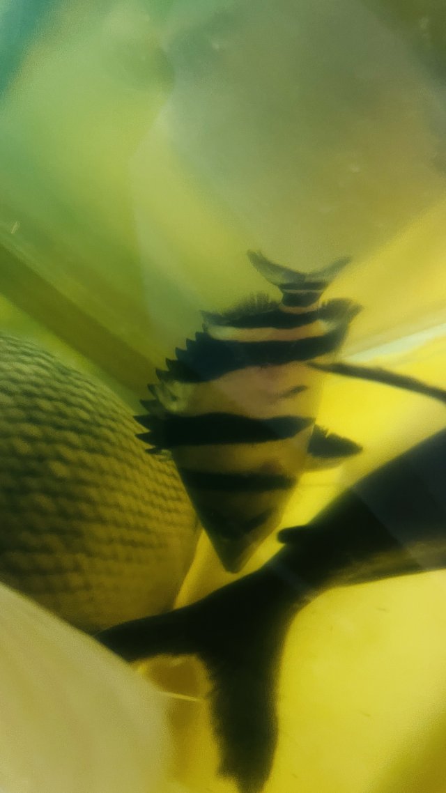 IMG_6207.jpeg IMG_6207.jpeg