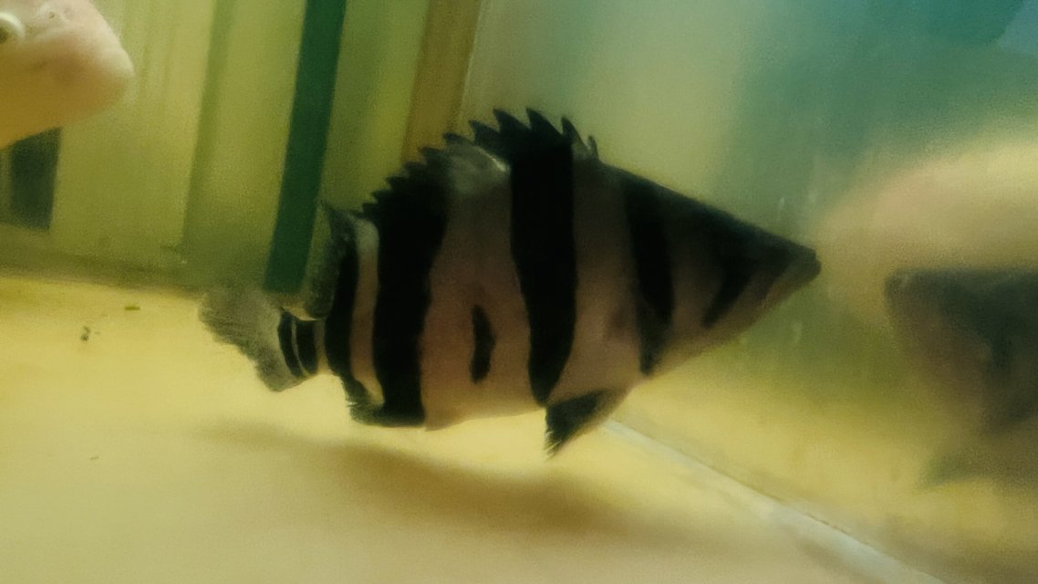 IMG_6205.jpeg IMG_6205.jpeg