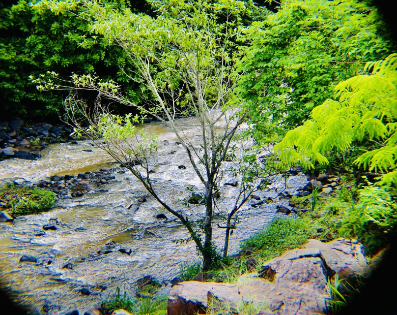 IMG_2850.jpeg IMG_2850.jpeg