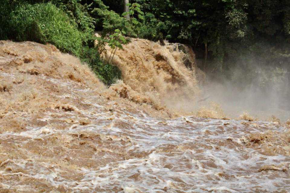 IMG_7074.jpeg IMG_7074.jpeg