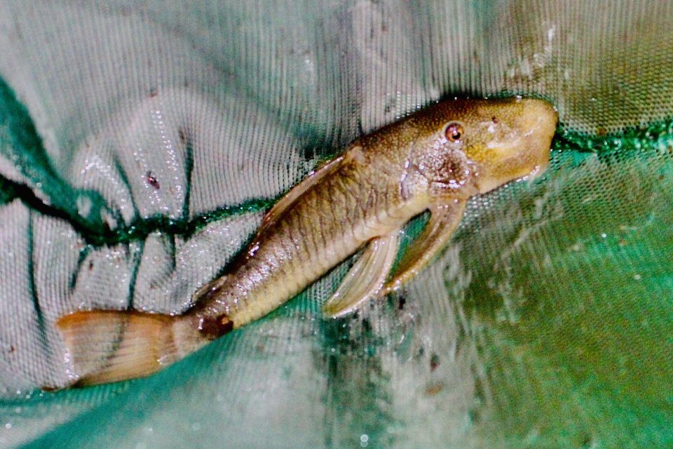 IMG_4044.jpeg IMG_4044.jpeg