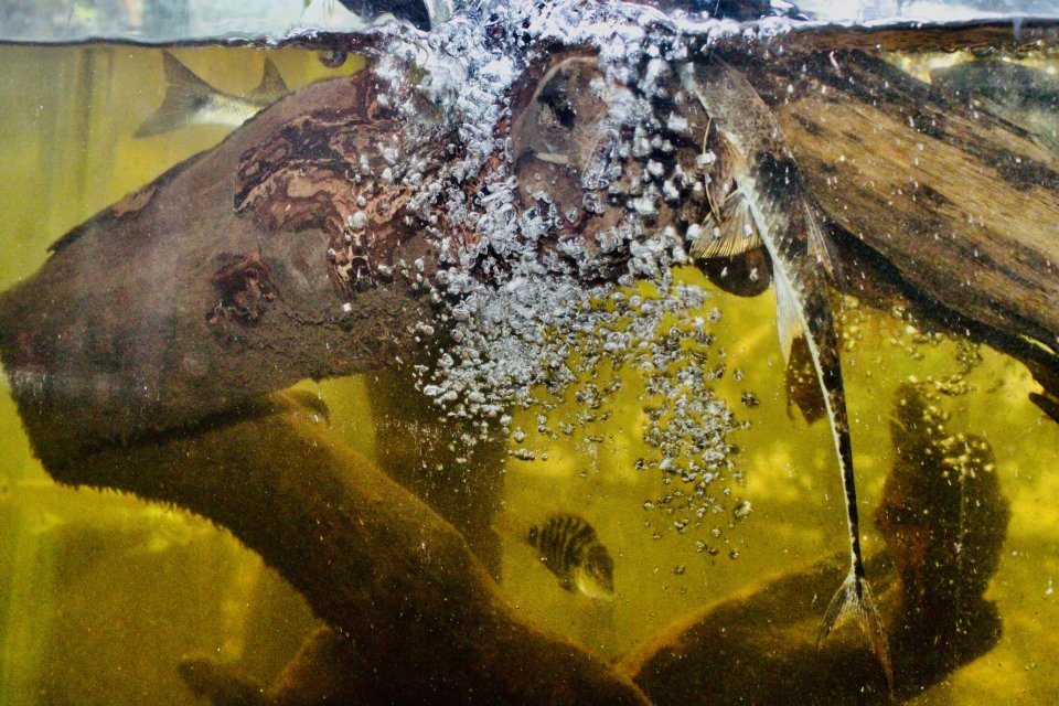 IMG_8769.jpeg IMG_8769.jpeg