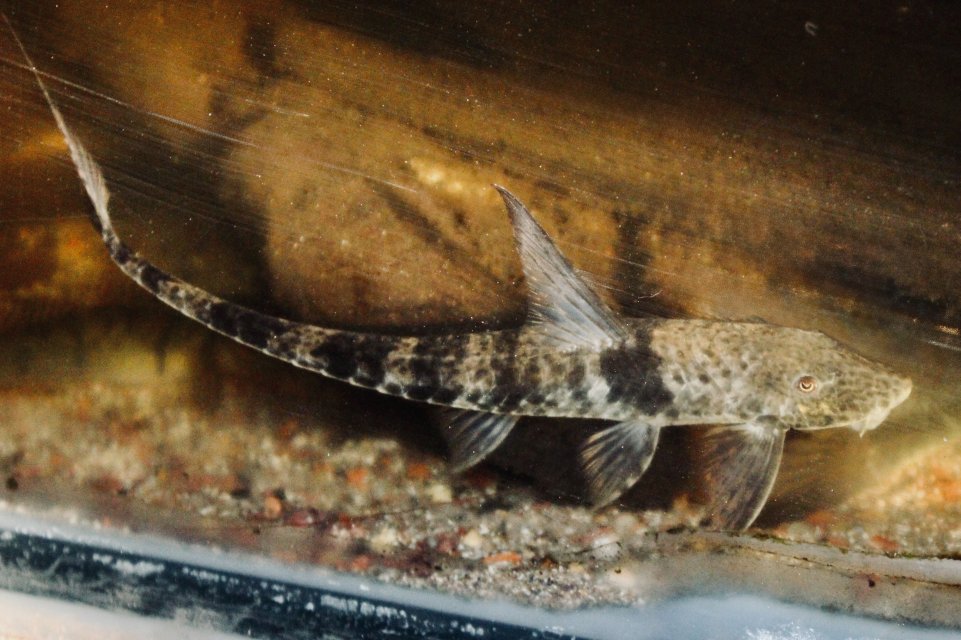 IMG_7856.jpeg IMG_7856.jpeg