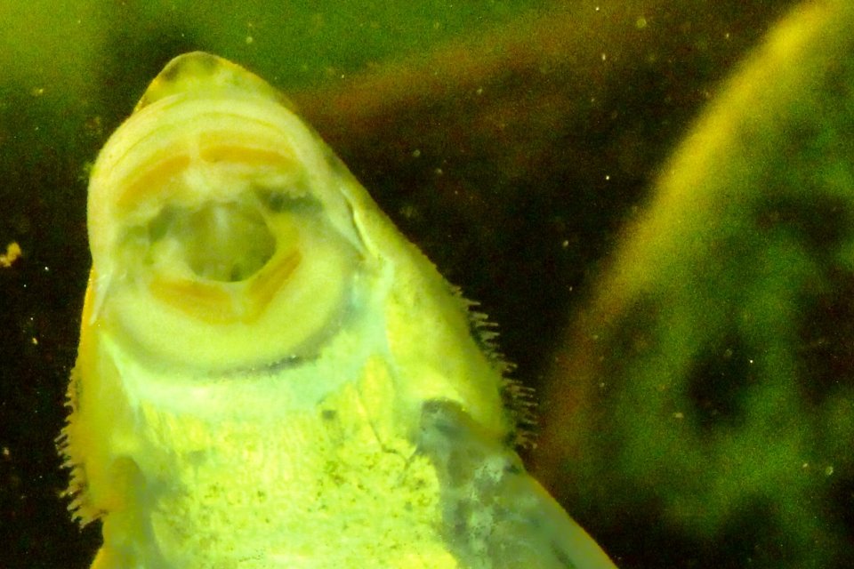 IMG_4904.jpeg IMG_4904.jpeg