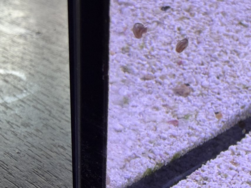 IMG_4205.jpeg IMG_4205.jpeg