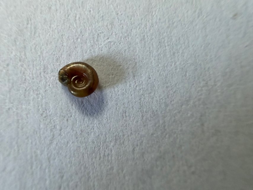 IMG_4206.jpeg IMG_4206.jpeg