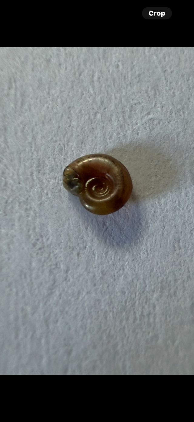 IMG_4209.png IMG_4209.png