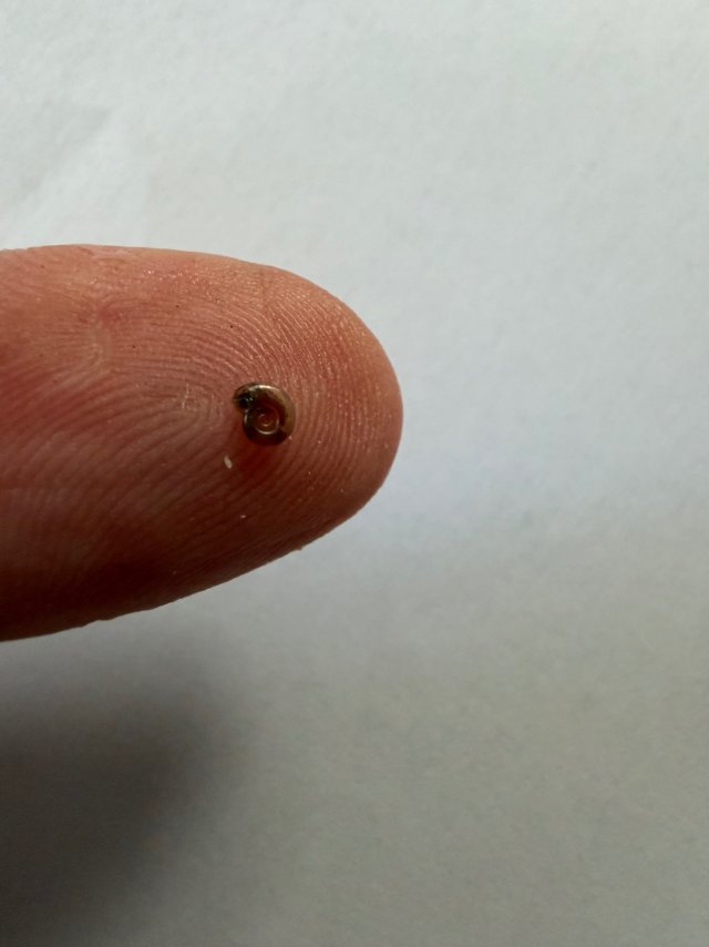 IMG_4208.jpeg IMG_4208.jpeg