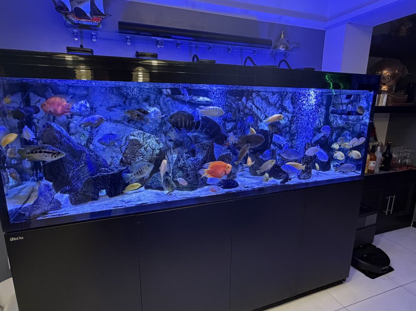 IMG_4179.jpeg IMG_4179.jpeg