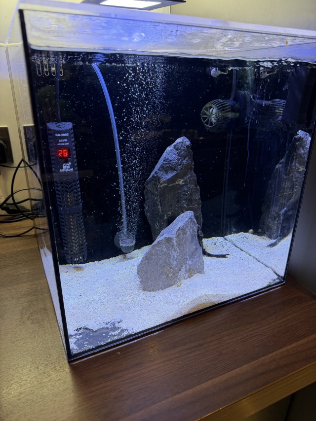 IMG_4239.jpeg IMG_4239.jpeg