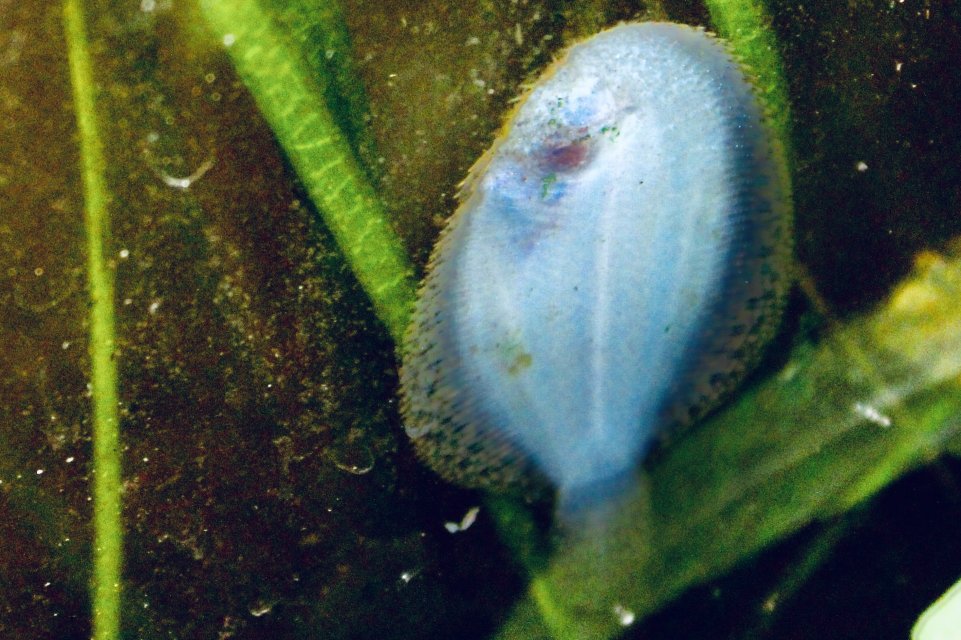 IMG_7381.jpeg IMG_7381.jpeg