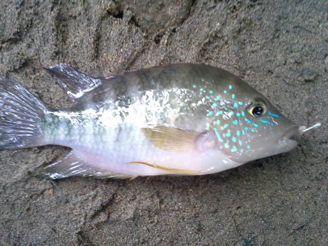 20151227_144337.jpg 20151227_144337.jpg