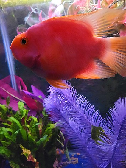 1761701688185.png 1761701688185.png