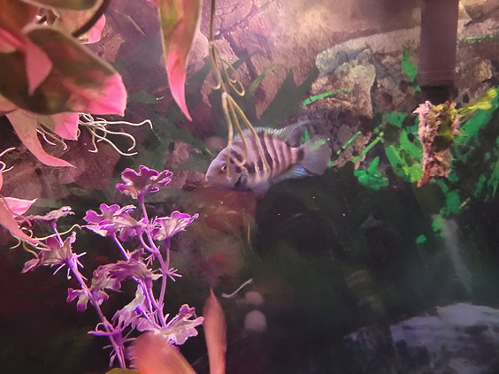 1761701794364.png 1761701794364.png