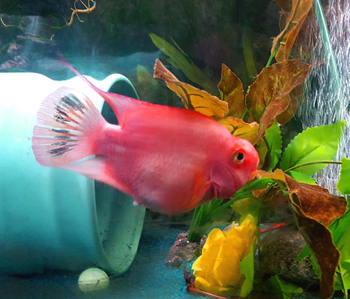 1761701951888.png 1761701951888.png