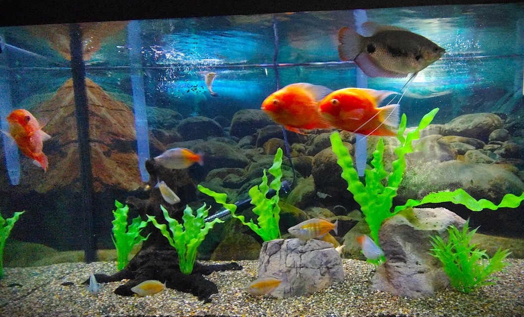 IMG_20251028_163939171.jpg IMG_20251028_163939171.jpg