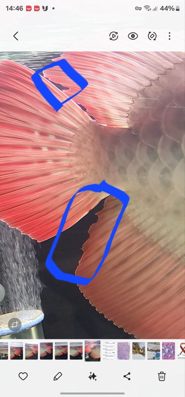 15 september (1).jpg 15 september (1).jpg